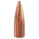 Speer .308 TNT 125gr 500 Stück