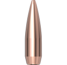 Hornady .308 Match 155gr 100 Stück